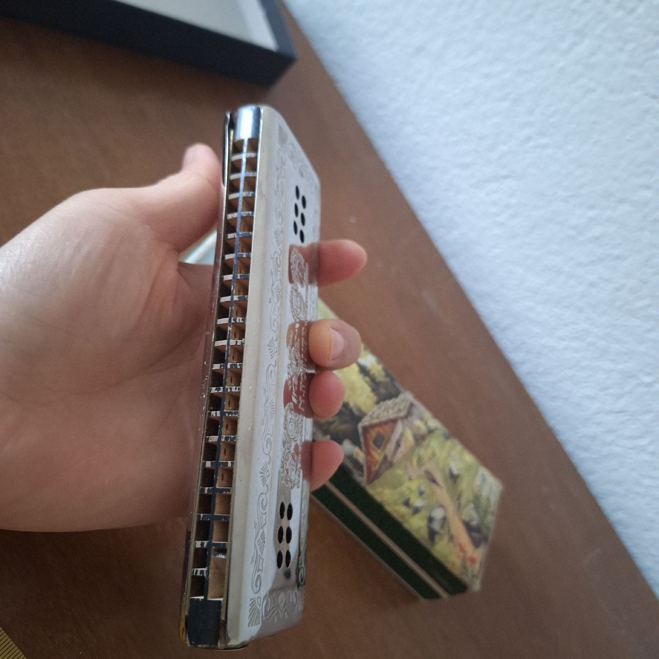 Hohner Strumenti musicali: Versand möglich. Hohner Echo Mundharmonika – Usato da Winterthur venduto da Goldpipau 9