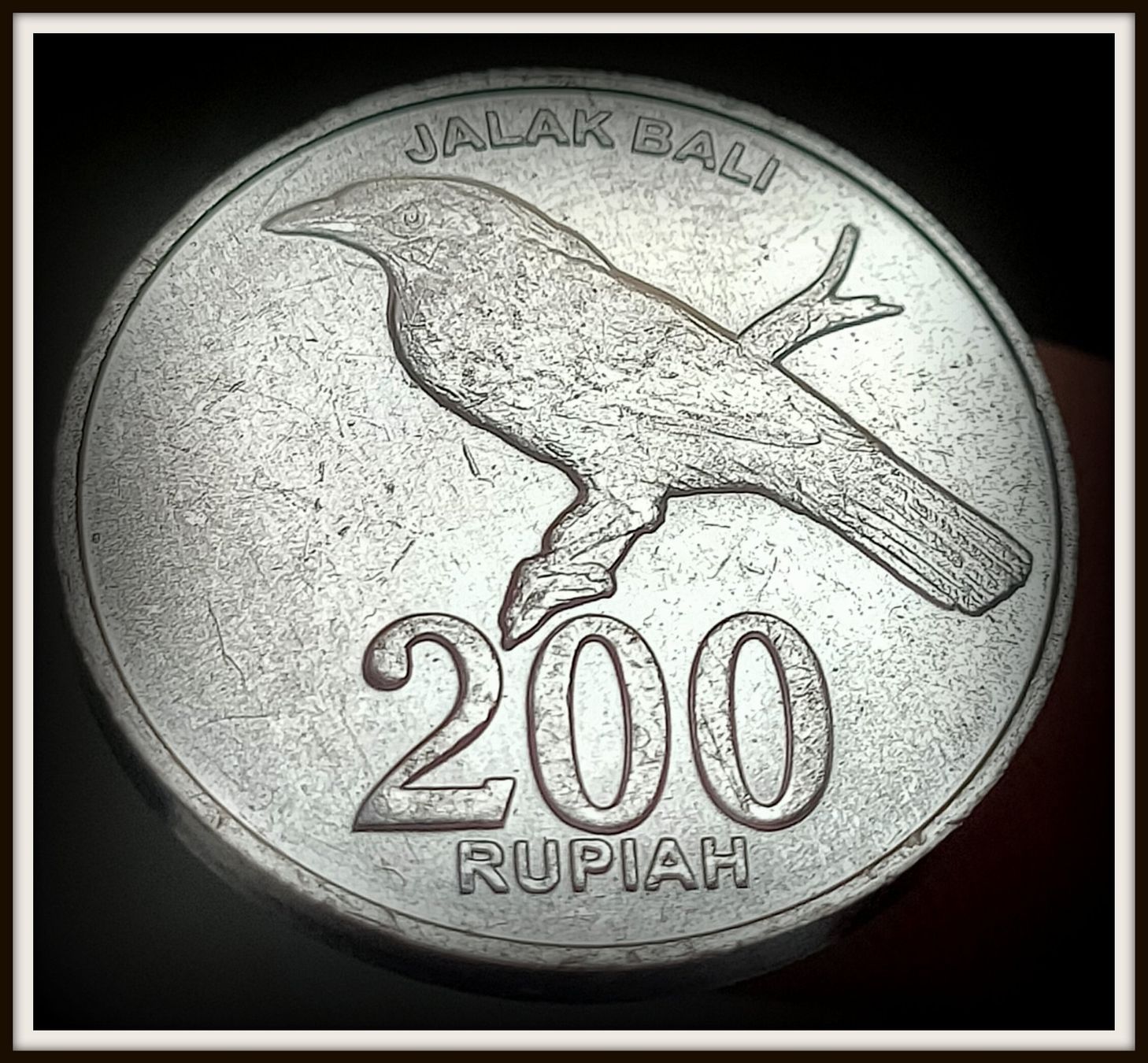 Tutti le monete: INDONESIEN 200 RUPIAH 2003 – Usato da Winterthur venduto da Creso70