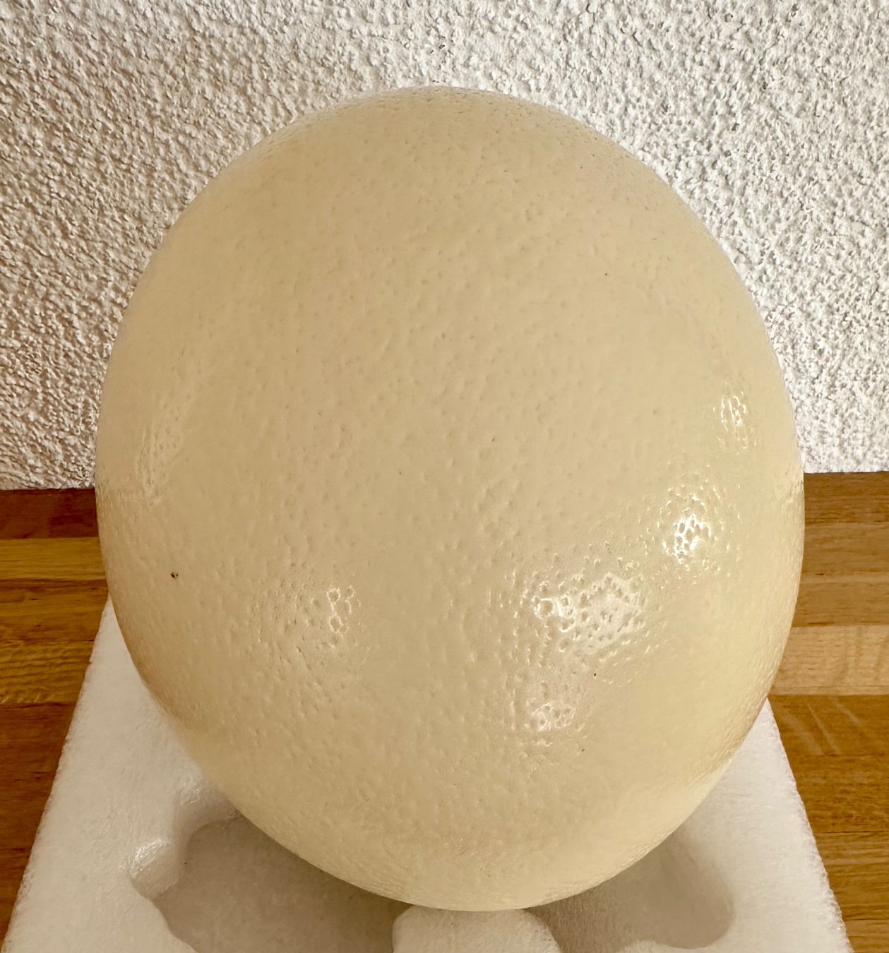 Tutte le decorazioni: Straussenei Natur – Usato da Winterthur venduto da Secondhand-Family