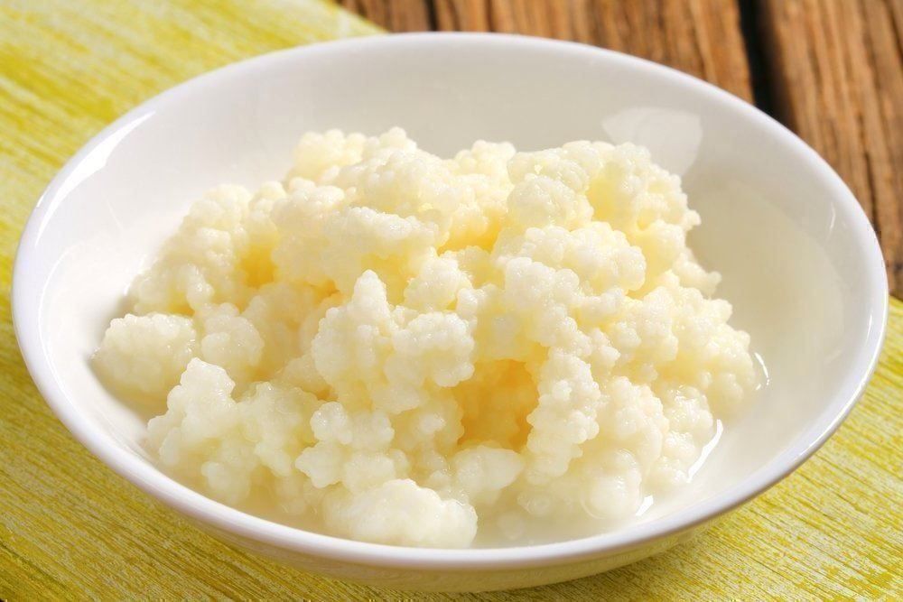 Cibi & Specialità: Milchkefir - Knollen BIO – Nuovo (secondo la descrizione) da Winterthur venduto da Aniger