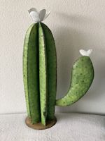 Deko Kaktus aus Metall ca. 56cm hoch