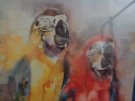 Bild Papagei Glas mit Kunststoffrahmen 80x60xx2 cm