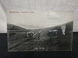 Ansichtskarte Heinzenberg Graubuenden Alp Idylle gelaufen 