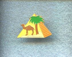 CAMEL