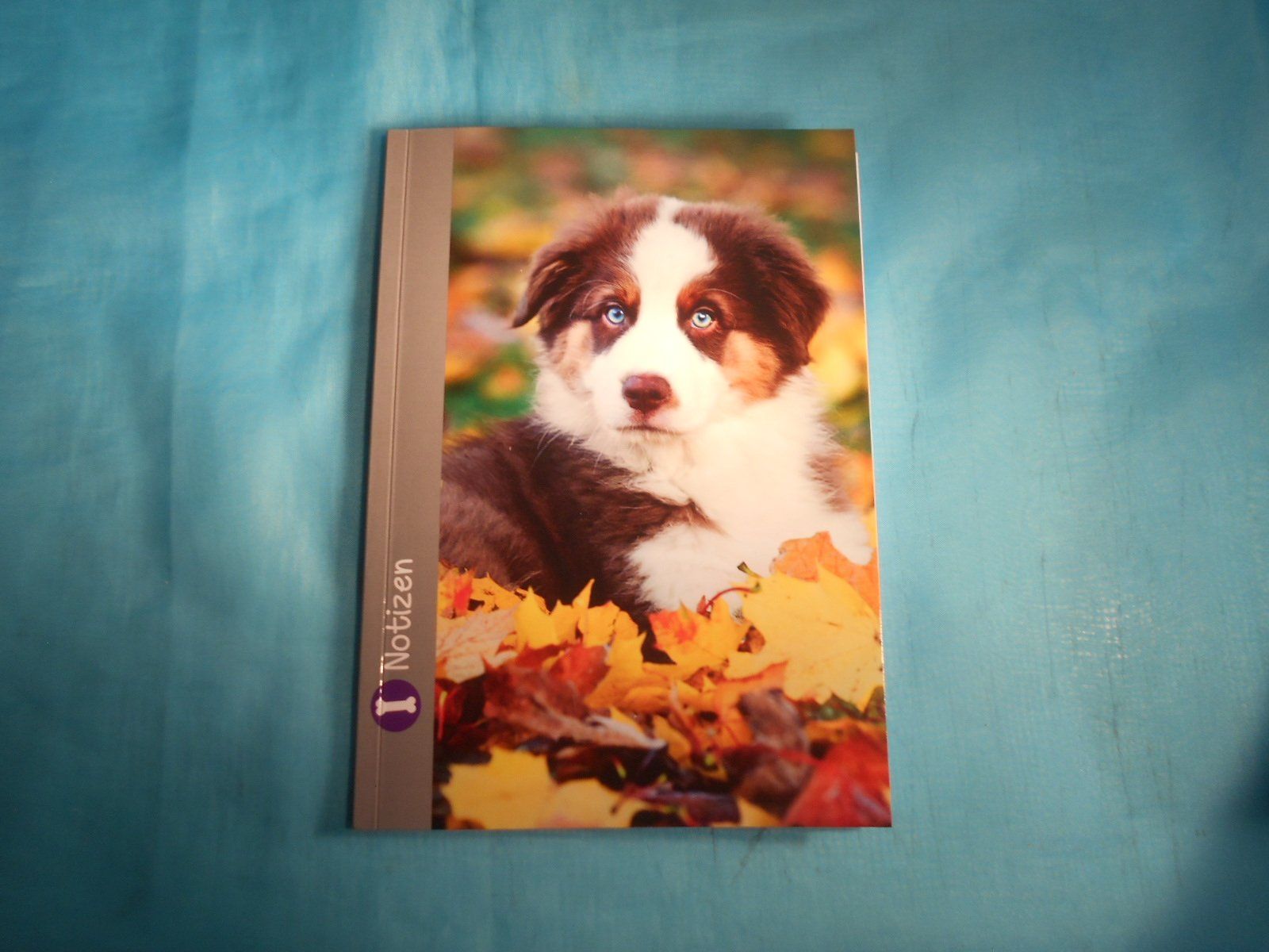 Blocchi: Notizheft, Tagebuch, etc. mit Hund – Nuovo (secondo la descrizione) da Bellach venduto da JingleCherry
