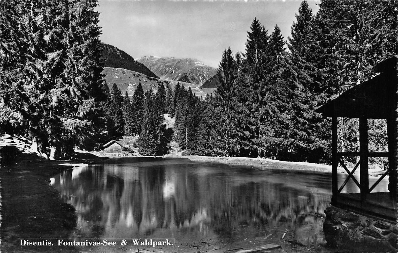 Cartoline postali: 3x Disentis – Usato da Ottikon b.Kemptth. venduto da Neptun1974
