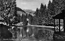 3x Disentis