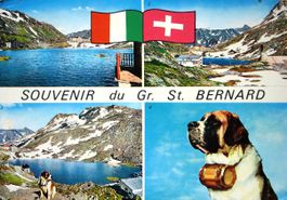 Souvenir du GR. ST. BERNARD - Hund