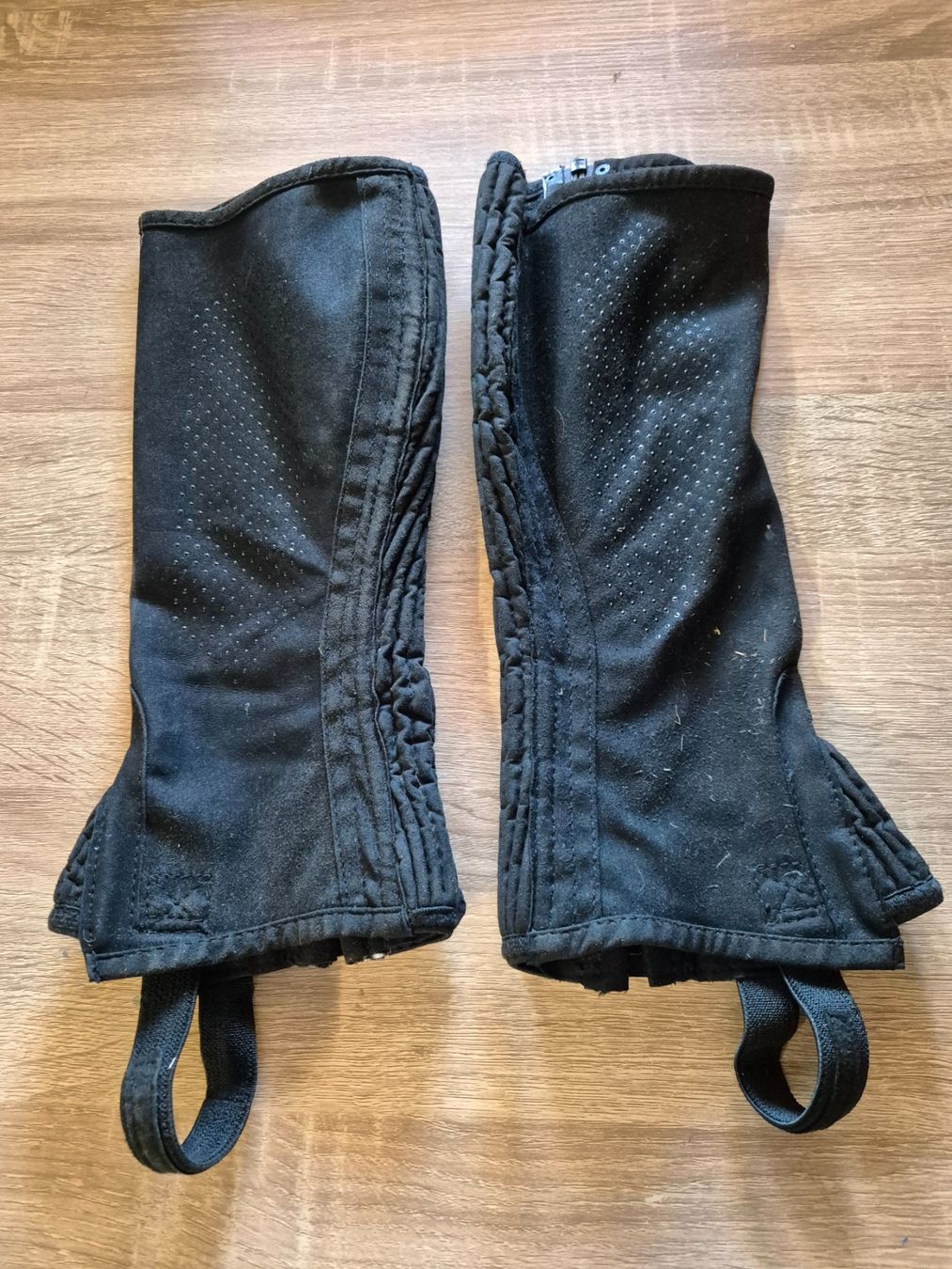 Brides, licols: Steeds Chaps KL – D'occasion à Meggen par Orrinka20 1