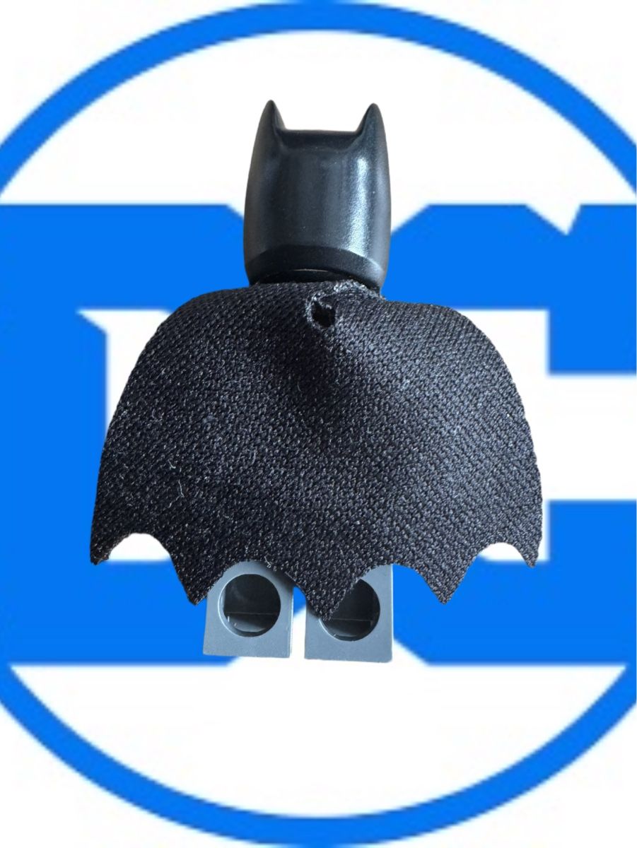 Lego Statuette: Lego Dc Batman sh0151 – Usato da Wetzikon ZH venduto da the-collector91 1