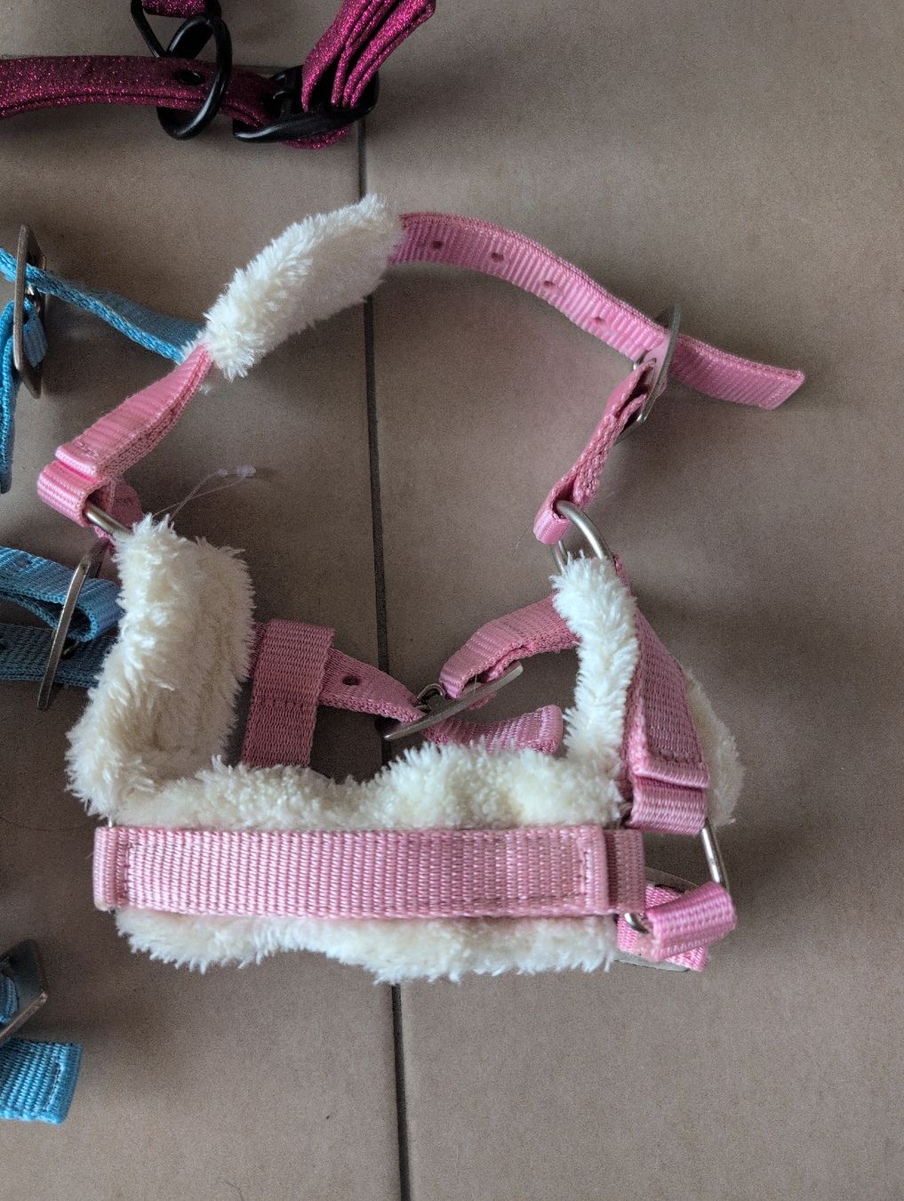 Briglie & Cavezze: Mini Shetty oder Fohlen Halfter Set – Usato da Glattbrugg venduto da Rose198 3