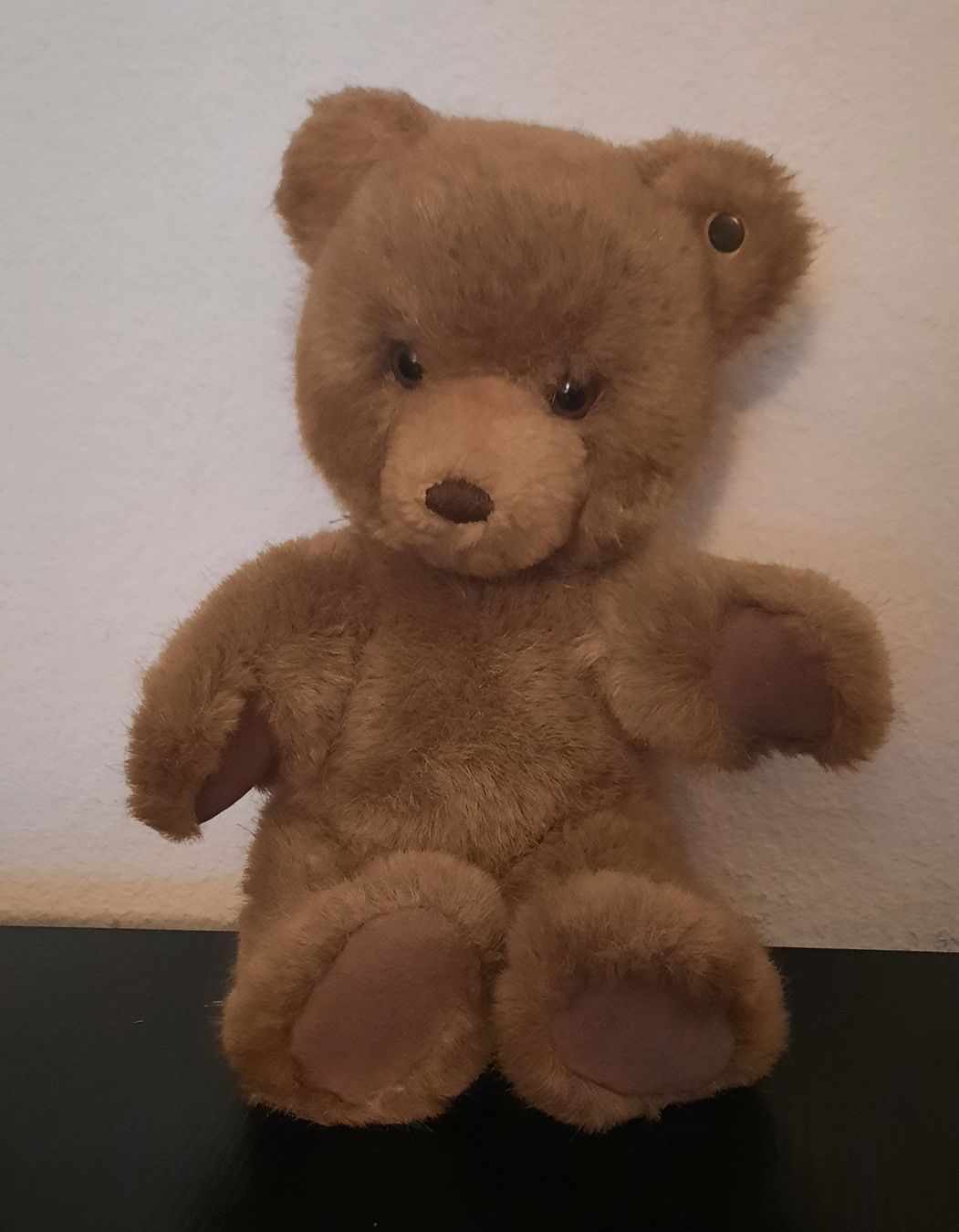Steiff Puppen: Teddybär – Gebraucht aus Brugg AG von vanybo 1