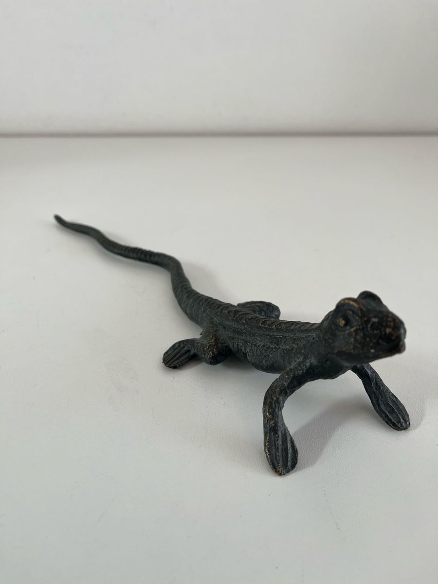 Sculptures & Statues: grosse Eidechse aus Messing oder Bronze – D'occasion à Wetzikon ZH par seli03 3