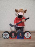 IIHF Ice Hockey 2025/2026 - Pack 4 pucks + Mascotte Cooly 26