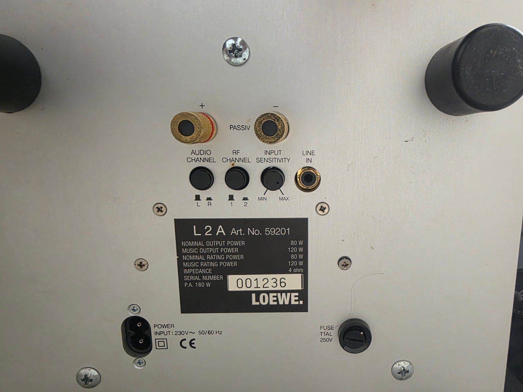 Loewe Casse acustiche: Loewe Lautsprecher – Usato da Einsiedeln venduto da patsteiner74 1