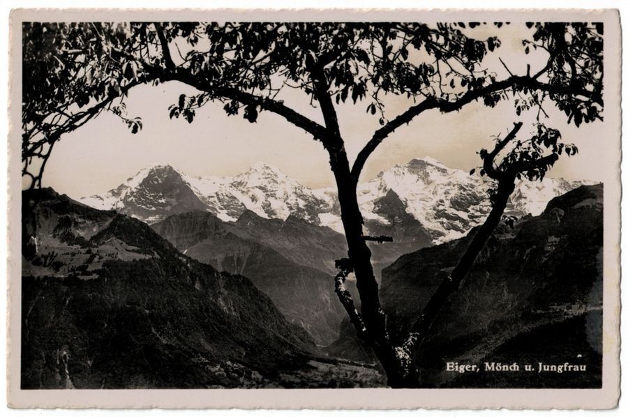 Cartoline postali: Eiger, Mönch und Jungfrau – Usato da Frauenfeld venduto da POML