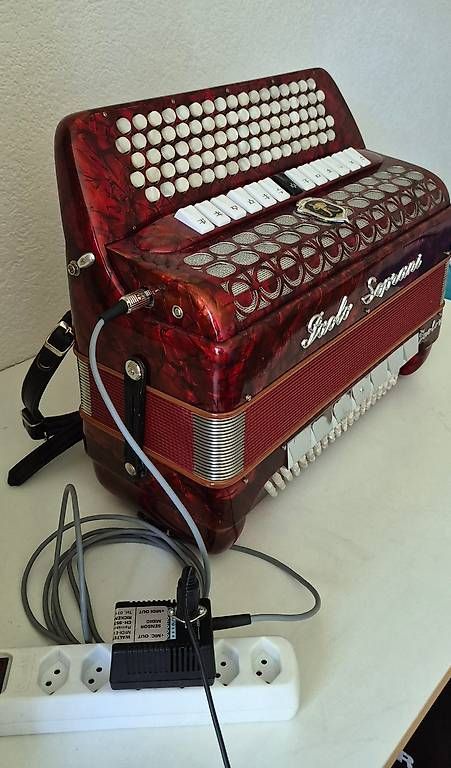 Strumenti musicali: Akkordeon, Midi-Akkordeon – Usato da Hildisrieden venduto da Ansimoff 3