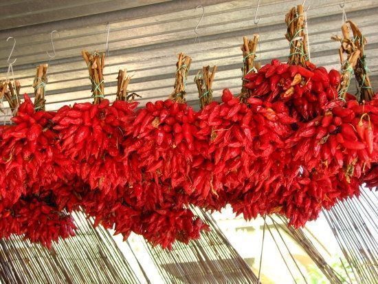 Piante & sementi: 50 Samen PICCANTE E MAZZETTI Chilli – Nuovo (secondo la descrizione) da Ehrendingen venduto da VerveinaSamen 4