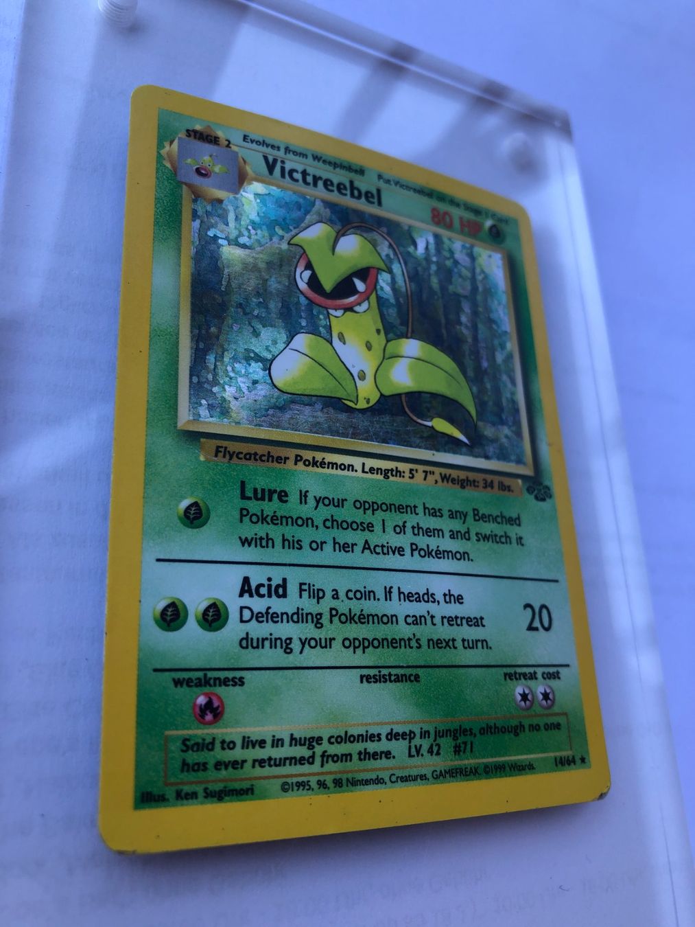 Carte collezionabili: Victreebel Holo Jungle - HP - ab 1.- – Usato da Giubiasco venduto da dan_pr8b 1