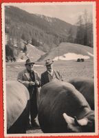 DAVOS Männer mit Kühen - Foto Furter Davos