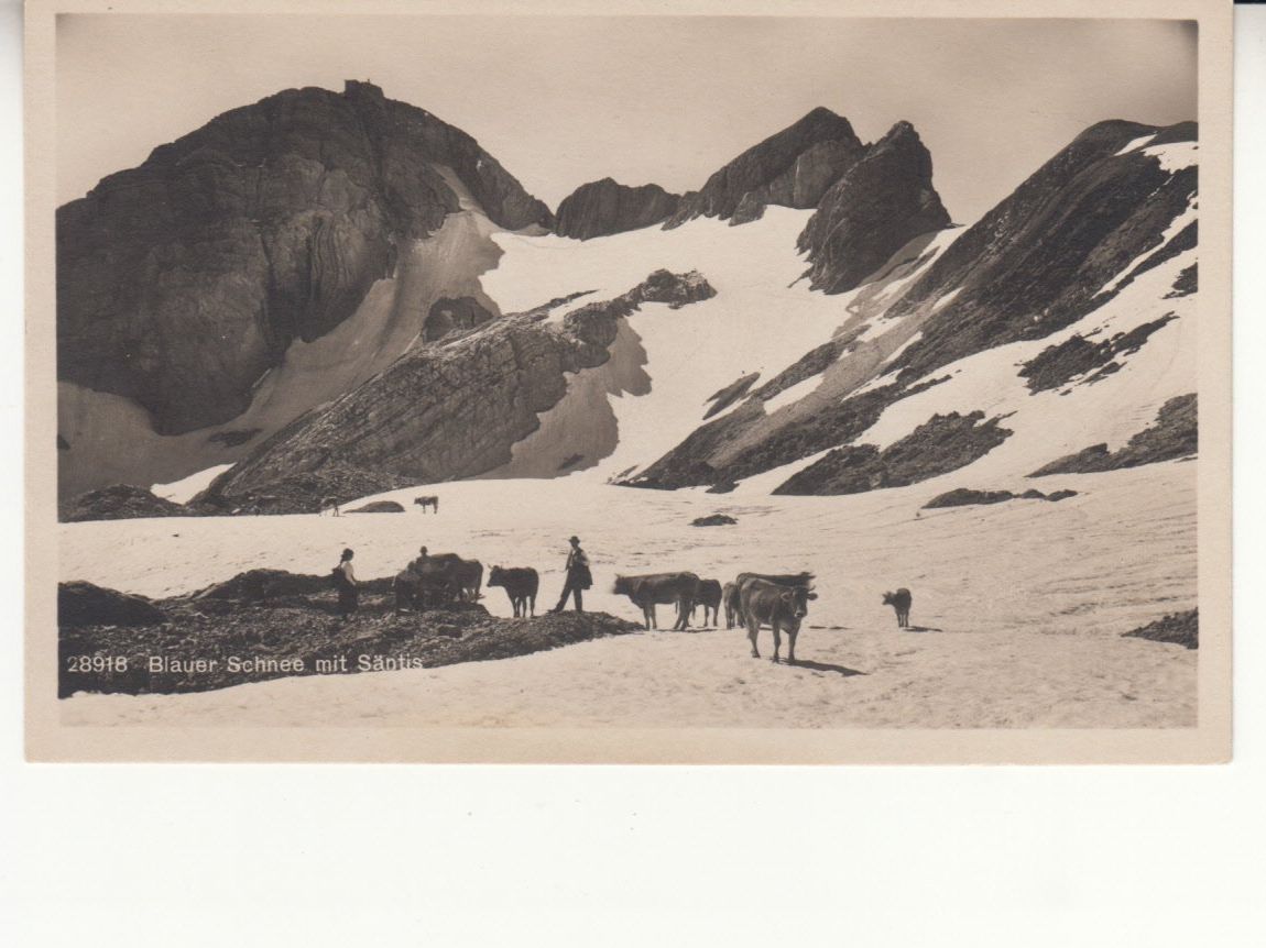 Ansichtskarten: Blauer Schnee ca. 1930 – Gebraucht aus Bürglen TG von StampGraf