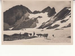 Blauer Schnee ca. 1930