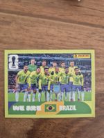 WM Panini BRA 13
