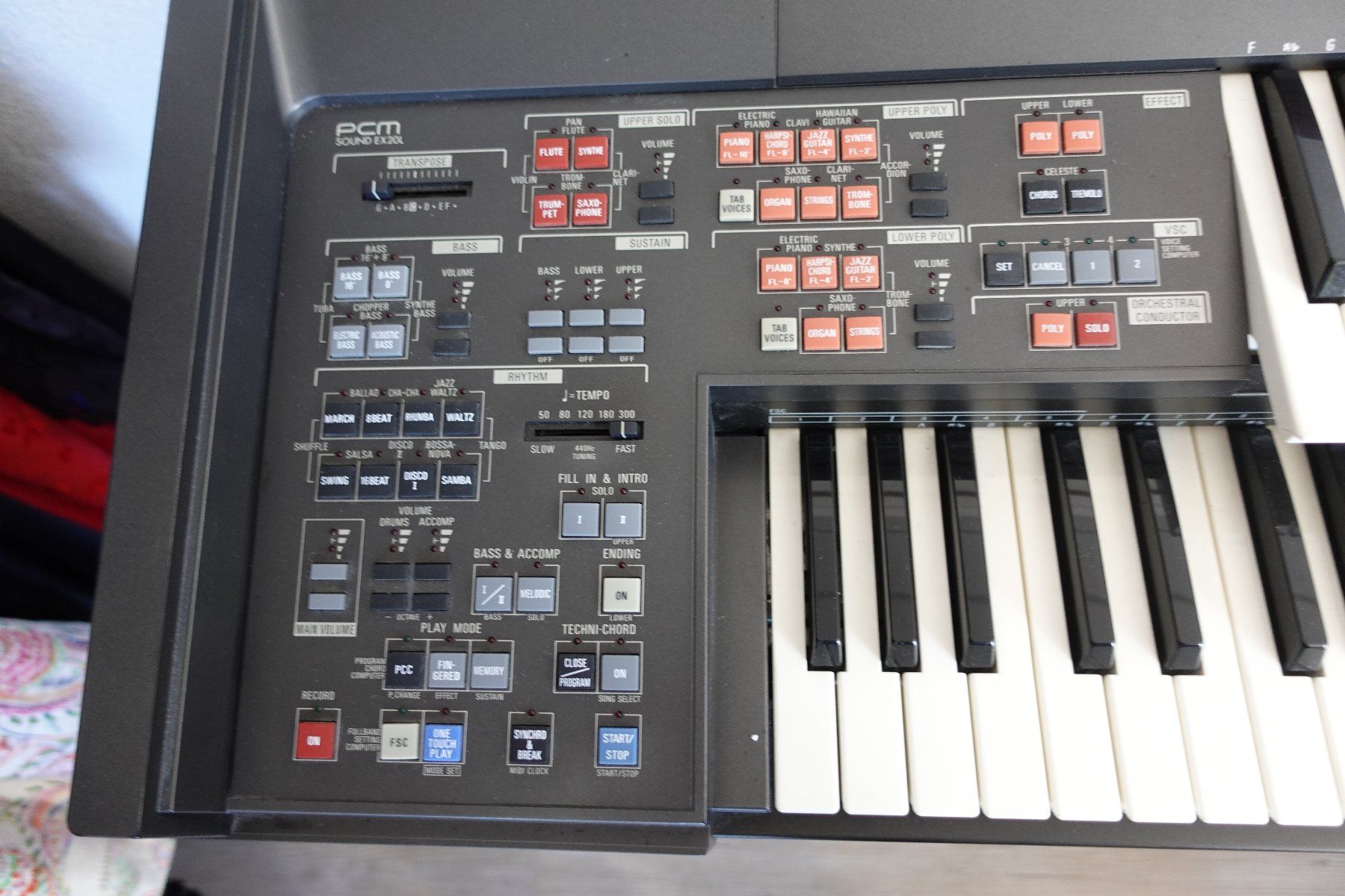 Technics Strumenti musicali: 1 Elektrische Orgel Marke Technics – Usato da rorschach venduto da Babsi64 5
