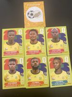 PANINI RSA 1-7-8-10-14-16-19