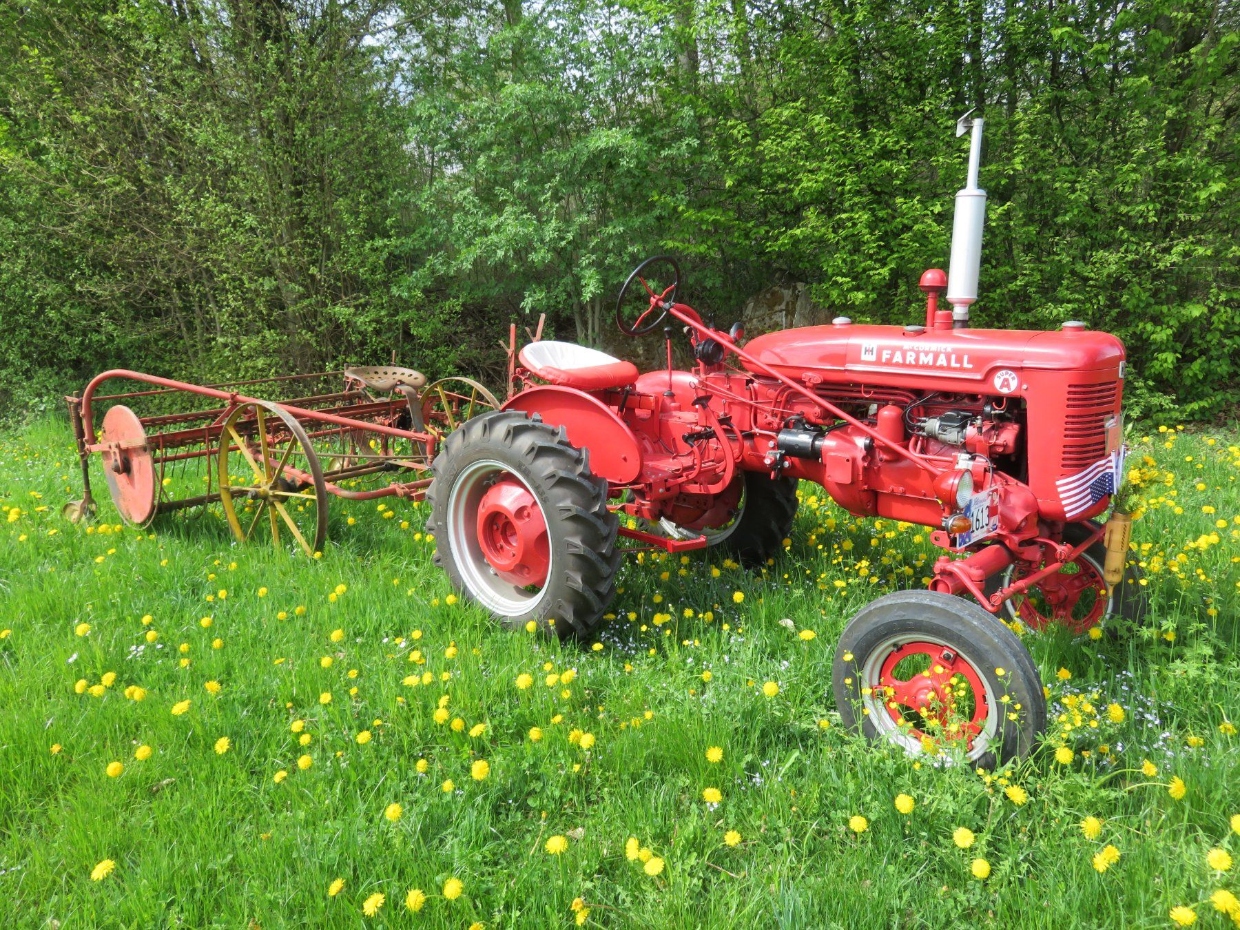 Bucher Raccolta foraggio grezzo: Heuwender Schwadenrechen ohne Traktor – Usato da Hörhausen venduto da Kobi114830 4