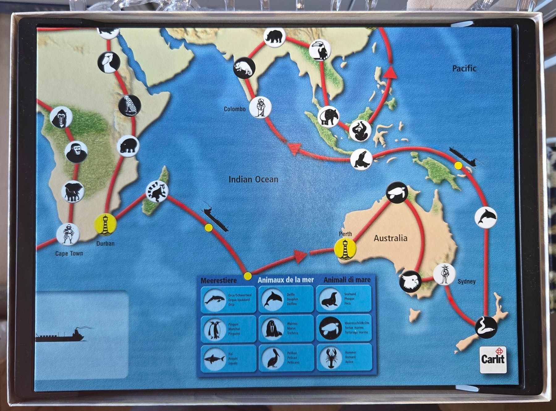 Carlit Giochi: Brettspiel Wildlife – Usato da Gossau SG venduto da tenerife11 5
