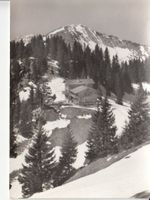 Rötenport 1962