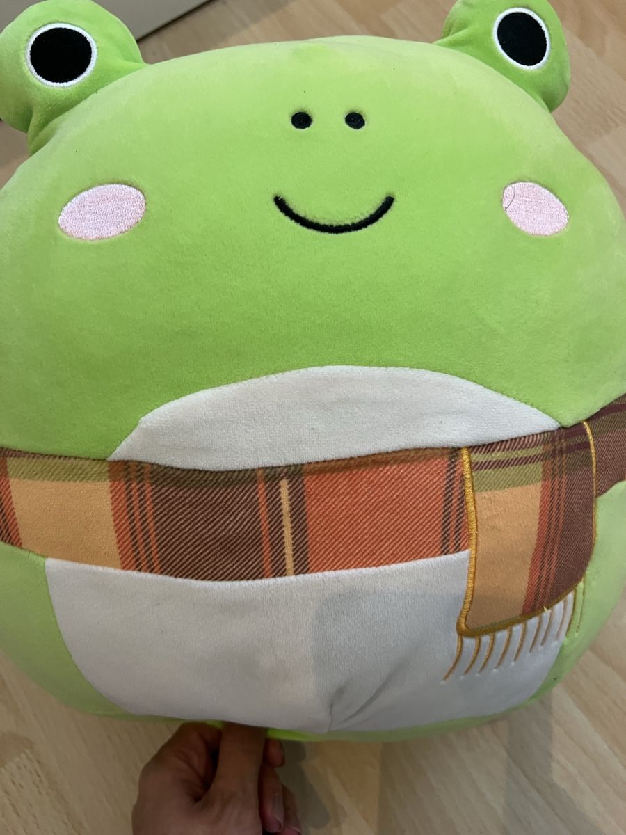 Squishmallows Spielzeuge: Squishmallows Stofftiere: Frosch, Wal, Eichhörnchen - Set! – Gebraucht aus Schaan von jassyb1 3