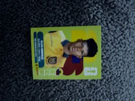 Panini Sticker ECU 17, WM 2026
