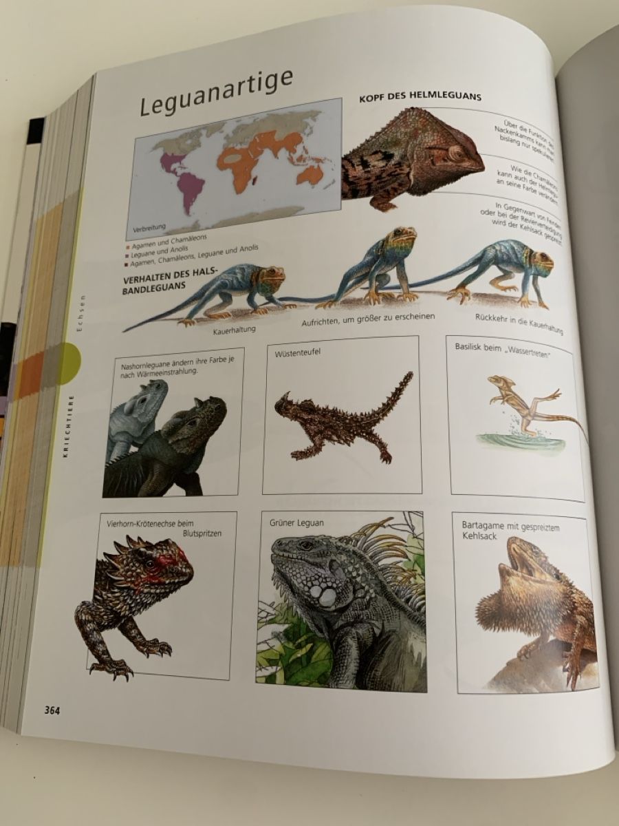 Livres: Bildlexikon Tiere – D'occasion à Ebikon par phi_kjk8 4