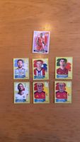 Panini 2026