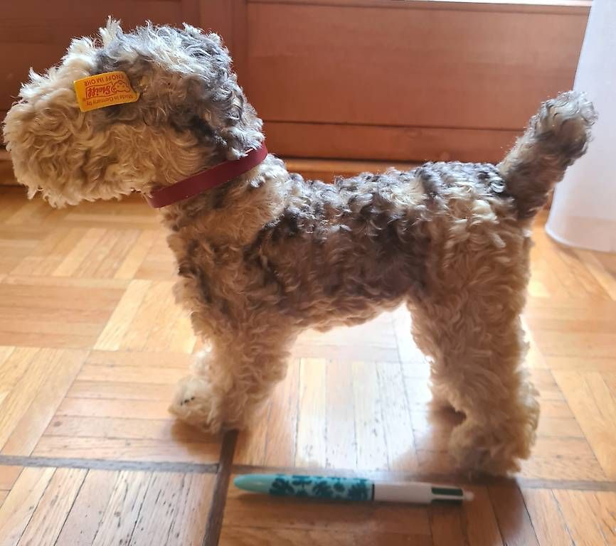 Steiff Giocattoli: Fox terrier peluche marque Steiff – Usato da Petit-Lancy venduto da sop_vkf9
