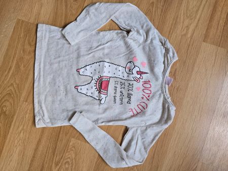 Langarmshirt Gr. 122 Lama
