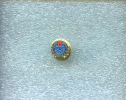 TCS  Logo