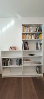 Bücherregale 