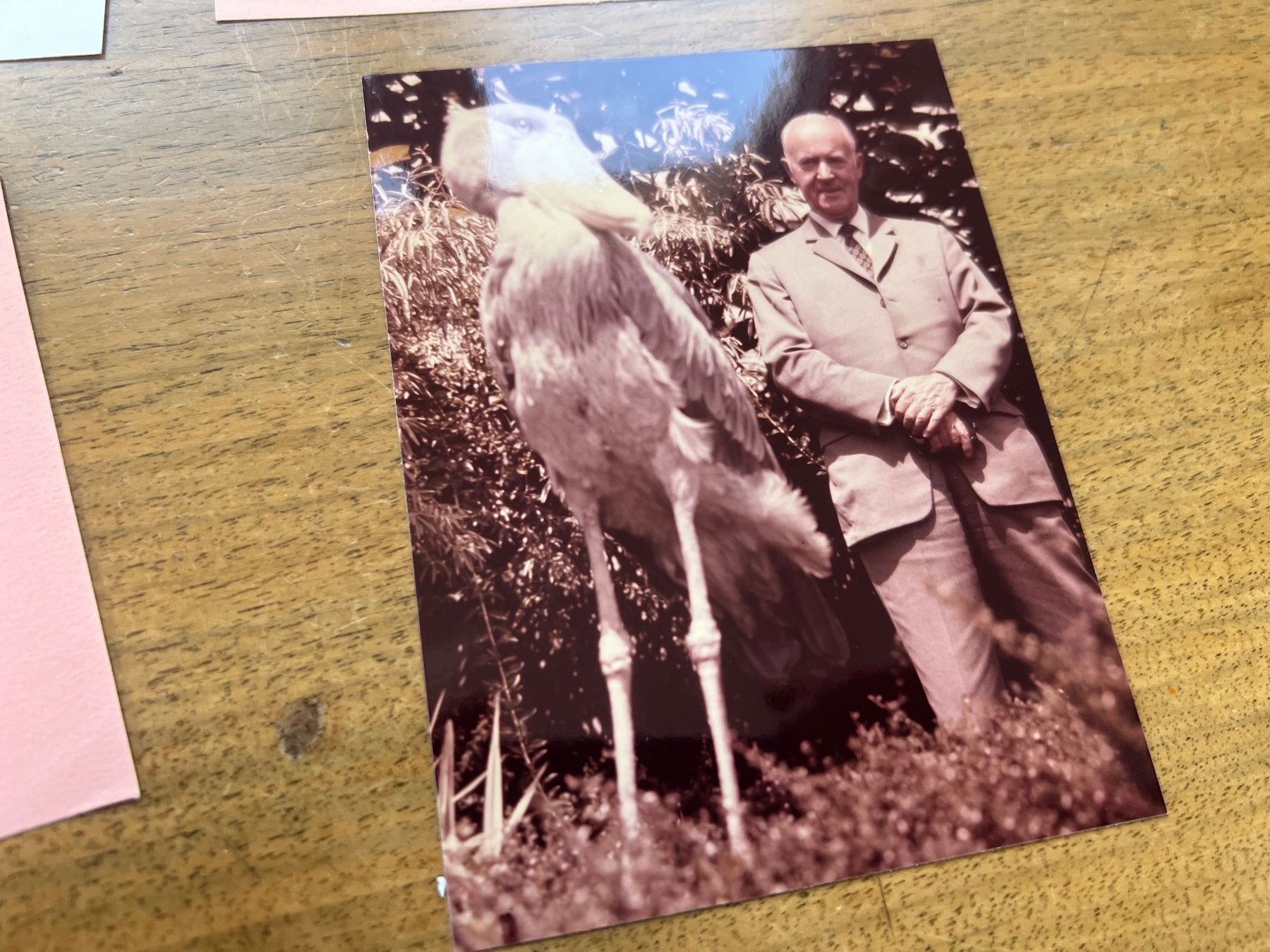 Autografi: Autogramm 300 – Usato da Glattfelden venduto da maa_qcj8 1