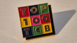 Thurgauer Kantonalbank  Top 100   -   Pin