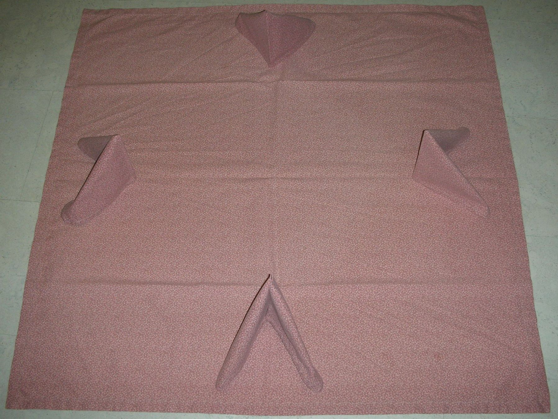 Altra biancheria da tavola: Tischtuch / Tischdecke mit 4 Servietten – Usato da Trubschachen venduto da MarianneJ01 3