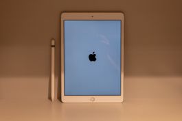 Apple iPad (8. Gen) + Apple Pencil