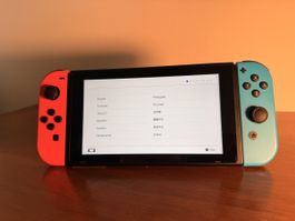 Nintendo Switch 1.Gen v2