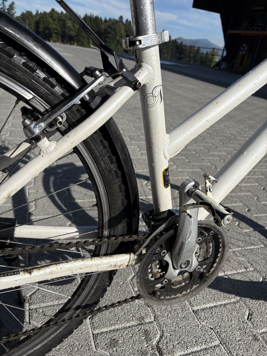MTB Cycletech Biciclette: MTB Cycletech 26 Zoll – Usato da Rothenburg venduto da Zibur 1