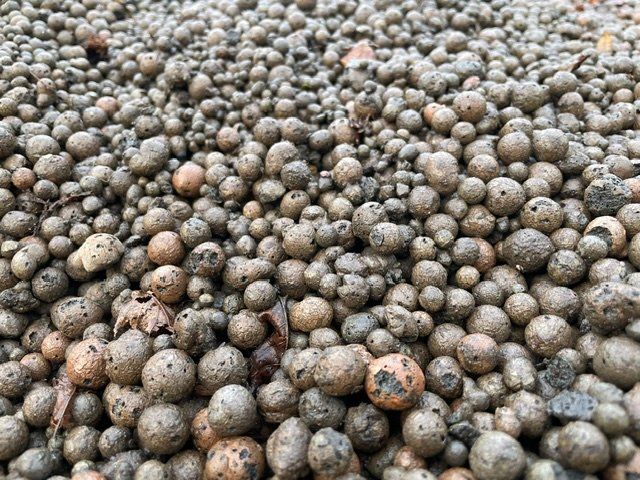 Materiale di riempimento: Leca - Blähton – Usato da Möriken AG venduto da suebistef 1