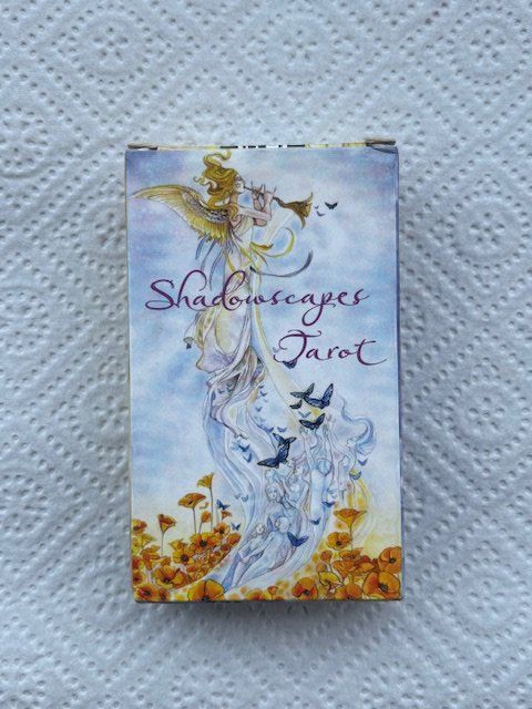 Cartoline: Tarot Shadowscapes – Usato da Siebnen venduto da mon_n8tr