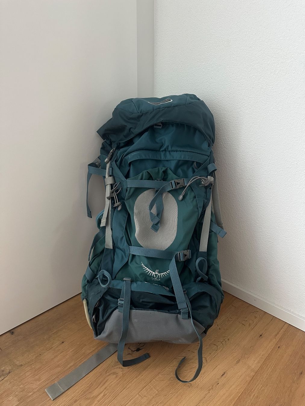 Osprey Rucksäcke: Osprey Trekkingrucksack Ariel 65 – Gebraucht aus Buttisholz von redsheep 1