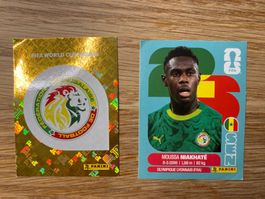 Panini SEN 1 und 4